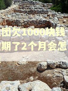 美团欠1000块钱逾期了2个月会怎么样