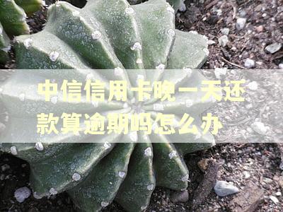 中信信用卡晚一天还款算逾期吗怎么办