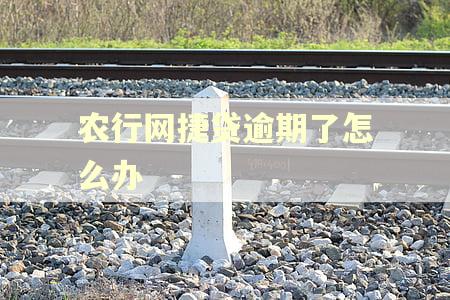 农行网捷贷逾期了怎么办