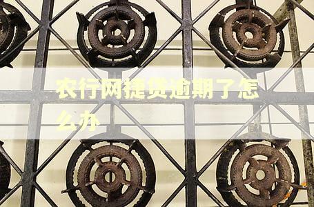 农行网捷贷逾期了怎么办