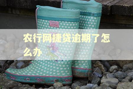 农行网捷贷逾期了怎么办
