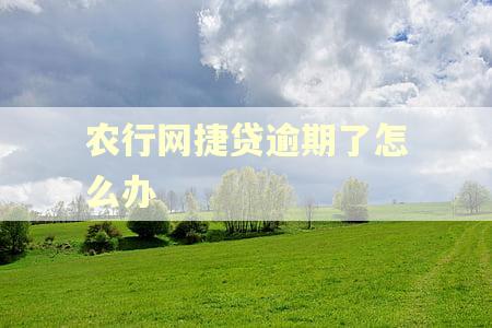 农行网捷贷逾期了怎么办 农行网捷贷逾期了怎么办