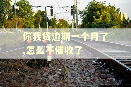 你我贷逾期一个月了,怎么不催收了