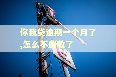 你我贷逾期一个月了,怎么不催收了