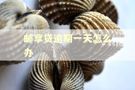 邮享贷逾期一天怎么办