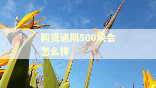 网贷逾期500块会怎么样