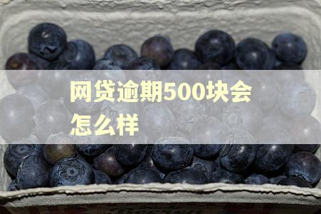 网贷逾期500块会怎么样