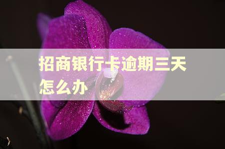 招商银行卡逾期三天怎么办