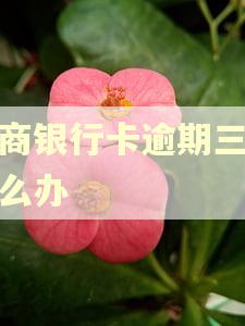 招商银行卡逾期三天怎么办 招商银行卡逾期三天怎么办