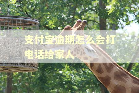 支付宝逾期怎么会打电话给家人
