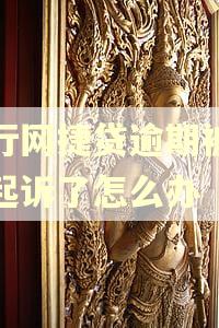农行网捷贷逾期被法院起诉了怎么办