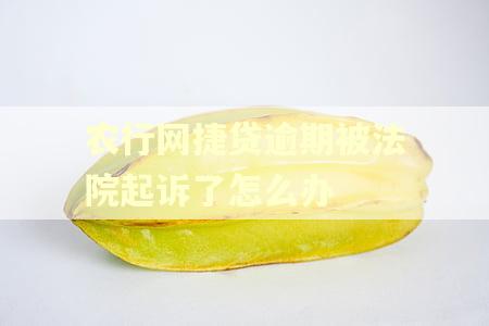 农行网捷贷逾期被法院起诉了怎么办