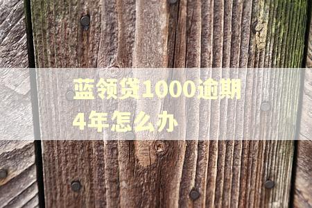 蓝领贷1000逾期4年怎么办