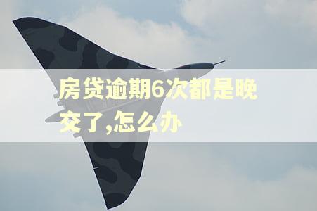 房贷逾期6次都是晚交了,怎么办