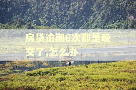 房贷逾期6次都是晚交了,怎么办