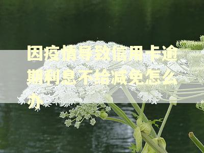 因疫情导致信用卡逾期利息不给减免怎么办