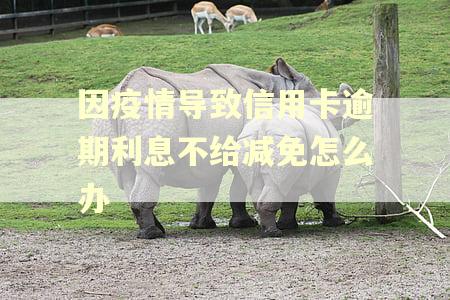 因疫情导致信用卡逾期利息不给减免怎么办
