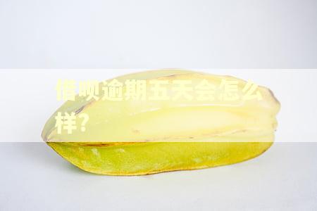 借呗逾期五天会怎么样?
