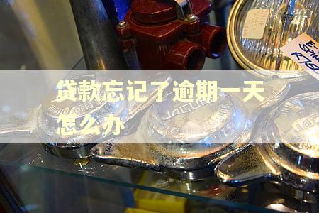 贷款忘记了逾期一天怎么办