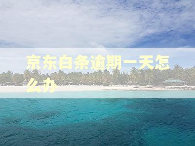 京东白条逾期一天怎么办 京东白条逾期一天怎么办