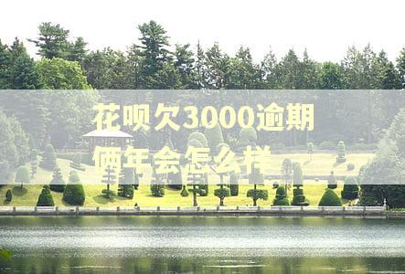 花呗欠3000逾期俩年会怎么样