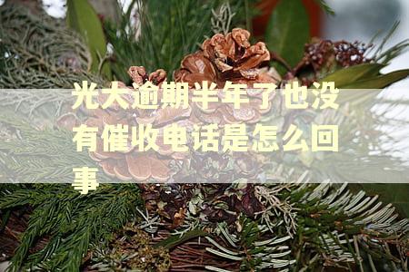 光大逾期半年了也没有催收电话是怎么回事