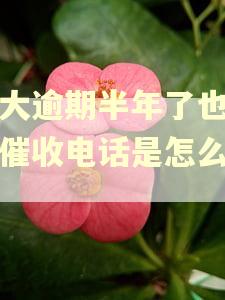 光大逾期半年了也没有催收电话是怎么回事