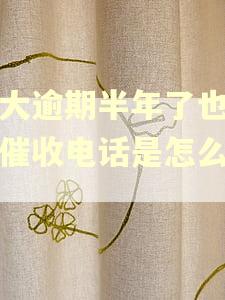 光大逾期半年了也没有催收电话是怎么回事