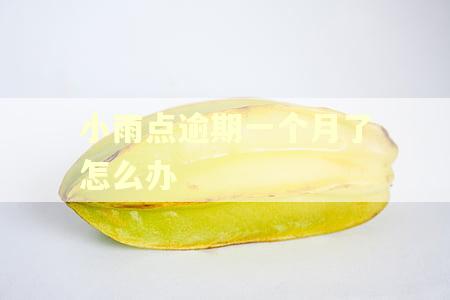 小雨点逾期一个月了怎么办