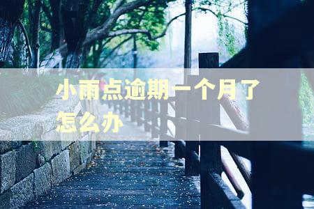 小雨点逾期一个月了怎么办