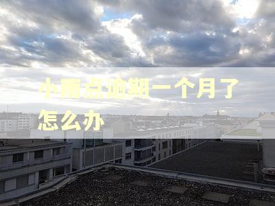 小雨点逾期一个月了怎么办 小雨点逾期一个月了怎么办