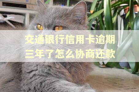 交通银行信用卡逾期三年了怎么协商还款 交通银行信用卡逾期三年了怎么协商还款