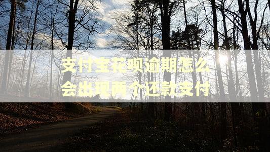 支付宝花呗逾期怎么会出现两个还款支付