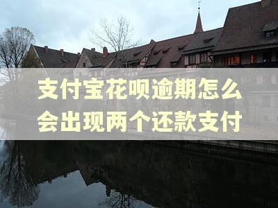 支付宝花呗逾期怎么会出现两个还款支付 支付宝花呗逾期怎么会出现两个还款支付