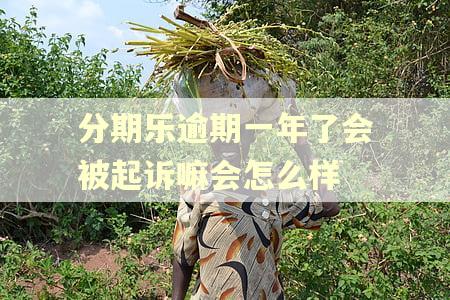分期乐逾期一年了会被起诉嘛会怎么样 分期乐逾期一年了会被起诉嘛会怎么样