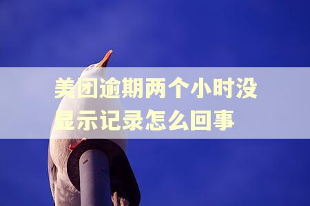 美团逾期两个小时没显示记录怎么回事