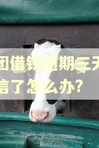 美团借钱逾期三天上征信了怎么办?