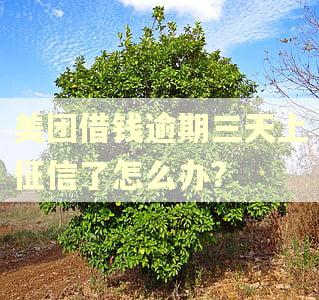 美团借钱逾期三天上征信了怎么办?