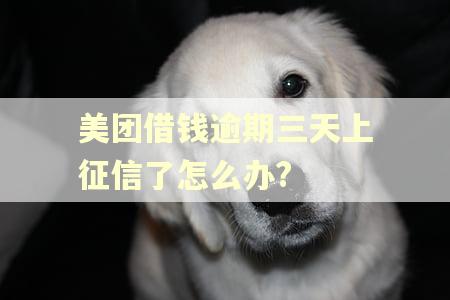 美团借钱逾期三天上征信了怎么办?