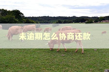 未逾期怎么协商还款