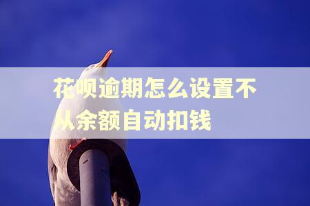 花呗逾期怎么设置不从余额自动扣钱