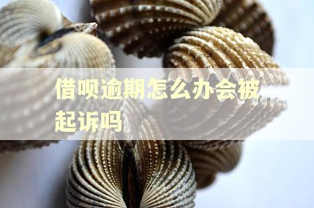 借呗逾期怎么办会被起诉吗
