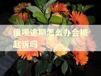 借呗逾期怎么办会被起诉吗
