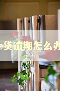 e贷逾期怎么办