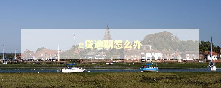 e贷逾期怎么办