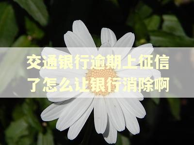 交通银行逾期上征信了怎么让银行消除啊
