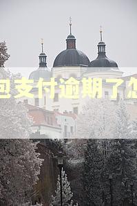 和包支付逾期了怎么补