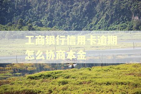 工商银行信用卡逾期怎么协商本金