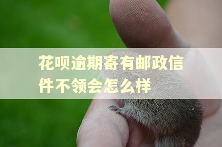 花呗逾期寄有邮政信件不领会怎么样