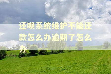 还呗系统维护不能还款怎么办逾期了怎么办
